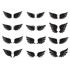 black and white wings vector design 