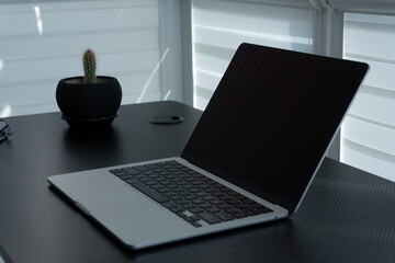 Laptop on a desk with a small cactus and a sleek design, surrounded by natural light during the...
