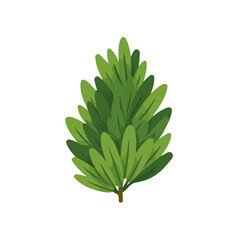 Plant_Simple_flat_2D_icon_pine_leaf_cluster_2D flat icon, minimalist design, simple illustration with EPS format design