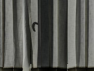 Silent Window Lines.