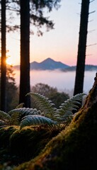 Obraz premium sunset in the mountains