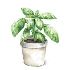 Beautiful basil in vase painting design set Hand-painted style, vectorized, vector set available in EPS, Simple Hand-painted watercolor style