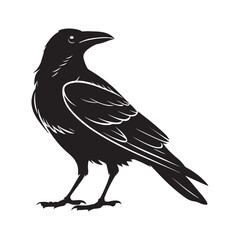 Crow silhouette, raven bird vector, detailed wildlife illustration, black bird design