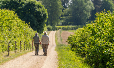An elderly European couple (a man and a woman holding hands) are walking along the road. An elderly couple shares a joyful moment. An active lifestyle at any age. A harmonious and happy relationship.
