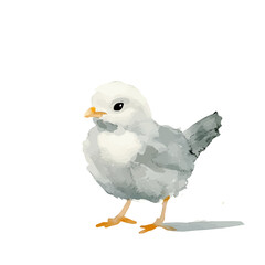 Beautiful chicken painting design set Hand-painted style, vectorized, vector set available in EPS, Simple Hand-painted watercolor style