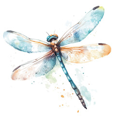 A_painting_of_hand_painted_dragonfly_isolated on a white background, a tool painting in watercolor style. The format is EPS for users