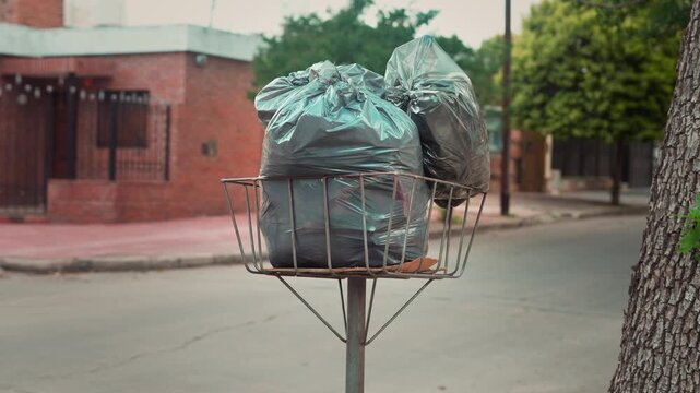 Wire trash basket with black bags on a street curb with green trees