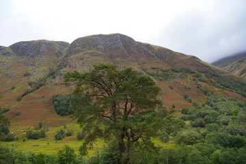 Glen Nevis in the Scottish highlands. Glen Nevis is a valley near Fort William	