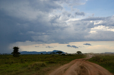 Obraz premium Dramatic clouds over the African savannah with a safari vehicle