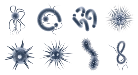 Microscopic Organisms, diverse collection with various shapes and flagella, isolated on white or transparent background. PNG