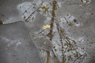 autumn fallen yellow leaves lie in the water, a puddle during the rain on the asphalt. drops of water fall into a puddle and form bubbles. beauty in nature. autumn mood