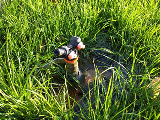 automatic water sprinkler for watering the lawn or garden. watering the ground with grass seeds. feeding seeds with moisture before germination. growing grass