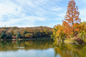 紅葉に染まる秋の空と湖