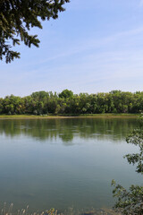 Calm river with forest reflection and overhanging tree branches under a bright blue sky