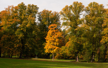 Autumn forest landscape in Hagaparken, a city park in Stockholm, Sweden