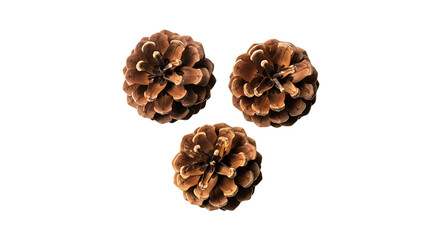 Obraz premium A simple arrangement of three pine cones on a plain black background background transparent