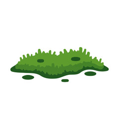 My flat 2D illustration a_moss patch isolated on a transparent background, vector, flat design, animation design, simple icon