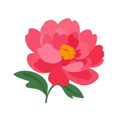 Attractive Minimalist illustration, A clipart flat 2D icon, minimal design, simple illustration with EPS format design of a pink peony flower isolated on white and transparent background