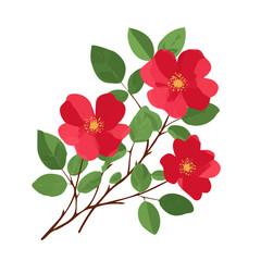 Attractive Minimalist illustration, A clipart flat 2D icon, simple illustration with EPS format design of a wild rose branch isolated on white and transparent background