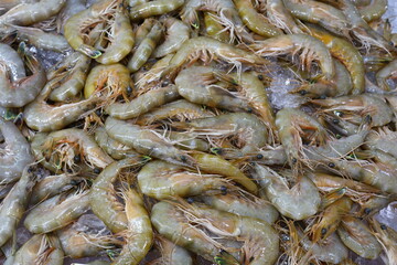 fresh shrimps on the market