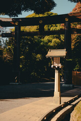 Sunlight over a Japanese shrine in a park