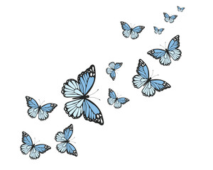 blue watercolor flock of butterfly design hand drawn