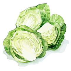 Creative sliced lettuce painting design set Hand-painted style, vectorized, vector set available in EPS, Simple Hand-painted watercolor style