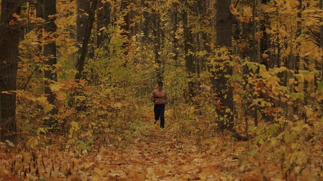 Shirtless bodybuilder with heart rate monitor on his chest runs along path in an autumn forest during leaf fall. Concept of physical health benefits of running