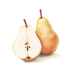 Simple Beautiful pearls painting design set Hand-painted style, vectorized, vector set available in EPS, Simple Hand-painted watercolor style