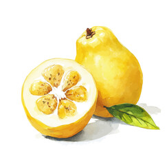 Elegant yellow guava painting design collection, Hand-painted style, vectorized, vector set available in EPS, Simple Hand-painted watercolor style