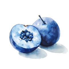 Elegant opened blueberry painting design collection, Hand-painted style, vectorized, vector set available in EPS, Simple Hand-painted watercolor style