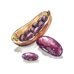 Elegant Red beans painting design collection, Hand-painted style, vectorized, vector set available in EPS, Simple Hand-painted watercolor style