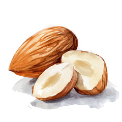 Illustration of almond painting design set, Hand-painted style, vectorized, vector set available in EPS, Simple Hand-painted watercolor style	