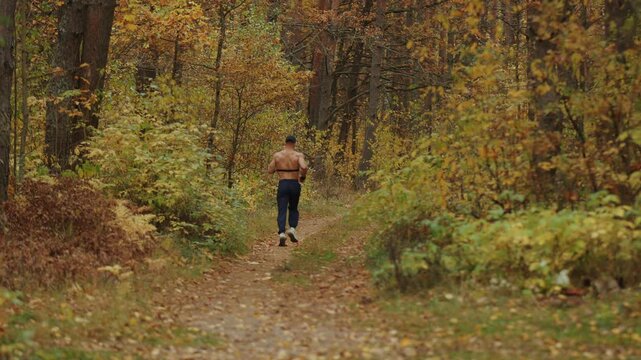 Shirtless muscular man runs along narrow path among trees with yellow leaves monitoring his body's load with chest heart rate monitor. Back view. Sport and healthy lifestyle concept