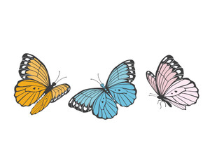 watercolor hand drawn design vector 