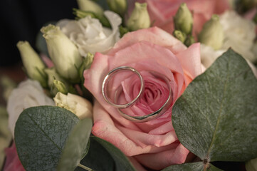 Pair of silver wedding rings lying inside pink rose flower petals. Macro closeup of bridal bouquet...