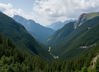 Fototapeta premium Glacial-cut alpine valley floor, steep evergreen slopes, vast remote mountain wilderness panorama