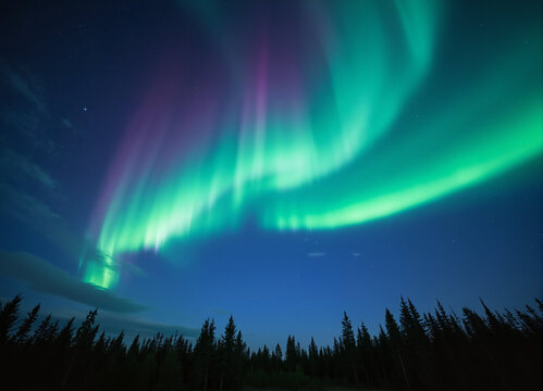 Ethereal green and magenta Aurora Borealis, midnight forest silhouette, subarctic phenomenon