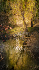 Fototapete bei efototapeten.de bestellen   