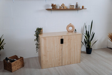 Modern wooden storage cabinet in minimalist interior with decor and plants