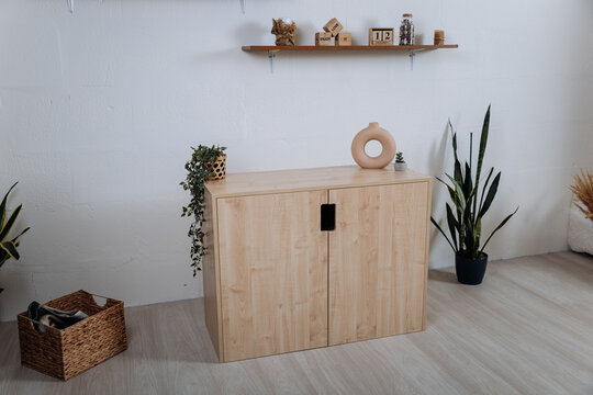 Modern wooden storage cabinet in minimalist interior with decor and plants