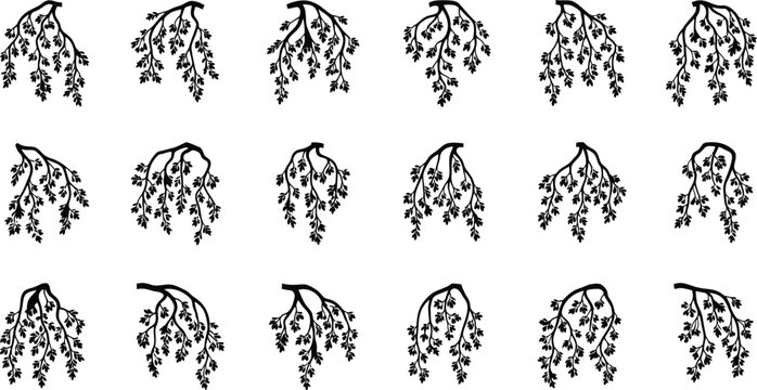 Set of black silhouette weeping willow branches with leaves isolated on transparent background