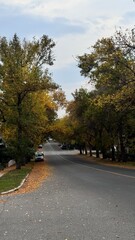 road in autumn