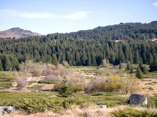 Konyarnika area at Vitosha Mountain, Bulgaria