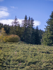 Konyarnika area at Vitosha Mountain, Bulgaria