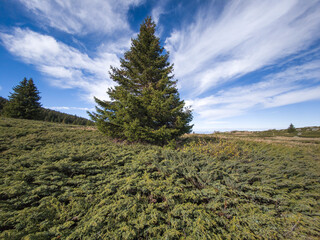 Konyarnika area at Vitosha Mountain, Bulgaria