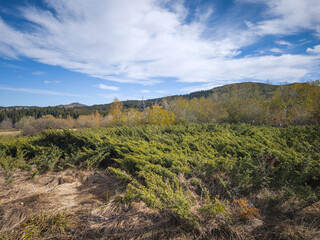 Konyarnika area at Vitosha Mountain, Bulgaria