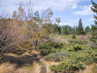 Obraz premium Konyarnika area at Vitosha Mountain, Bulgaria