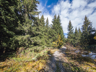 Obraz premium Konyarnika area at Vitosha Mountain, Bulgaria