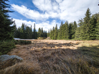 Konyarnika area at Vitosha Mountain, Bulgaria